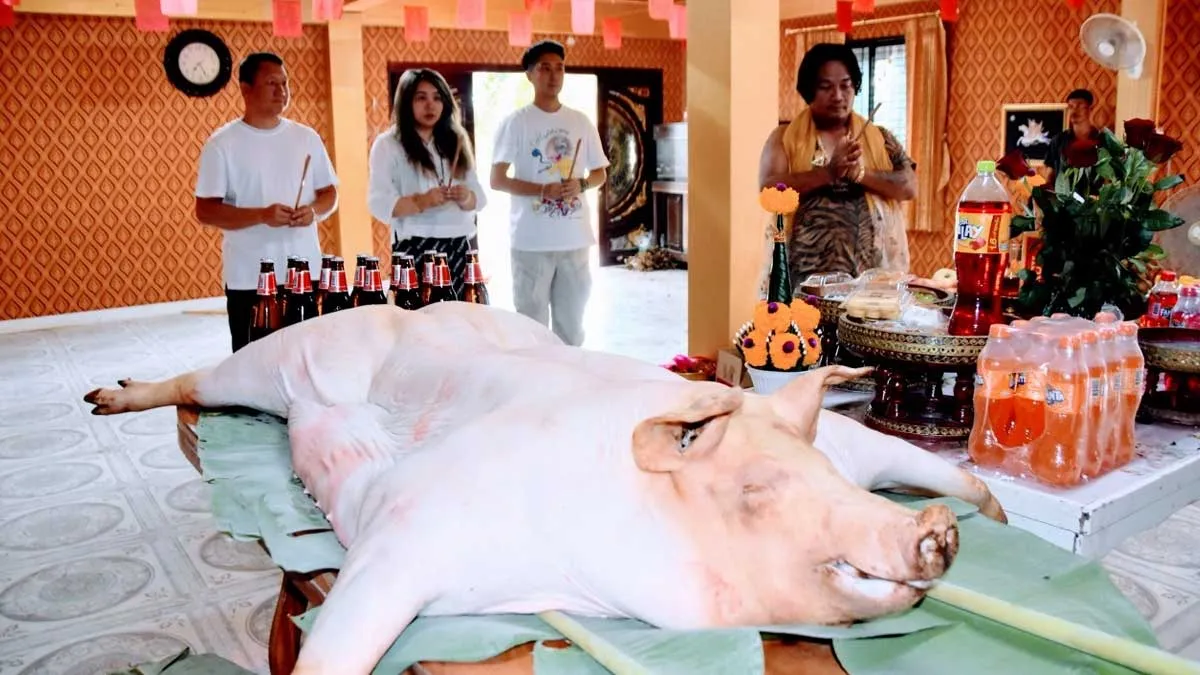Pork sacrifice Mother Phi Suea Samut